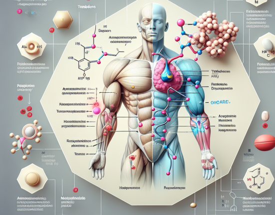 Trenbolone enantato: meccanismo d'azione e problematiche nel doping